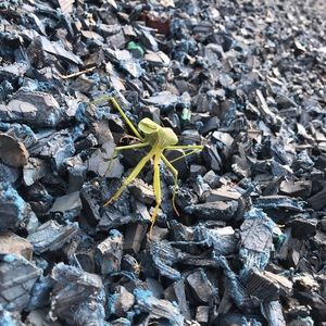 Meet your Posher, Ricki